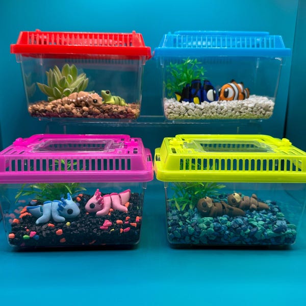 Animal Terrarium or Aquarium Kit