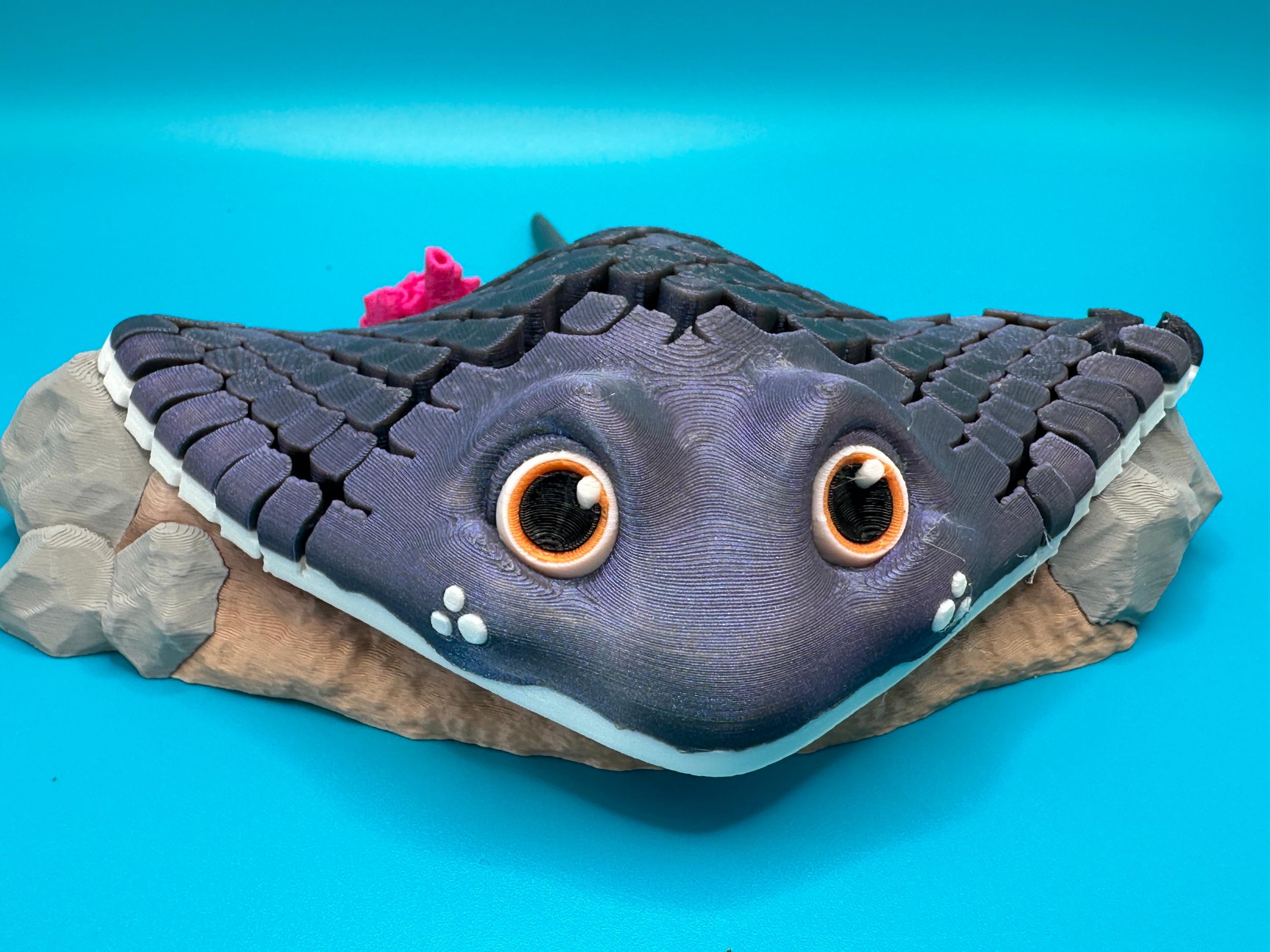 Ray Fidget Manta Ray Fidget Toy W/ Base | 3D Printed - Etsy