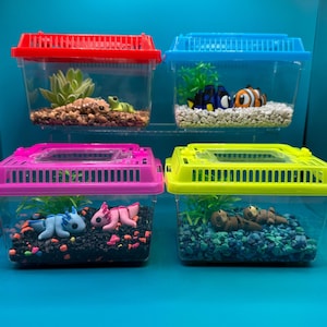 Peut inclure: Quatre cages de transport en plastique rectangulaires avec couvercles rouge, bleu, rose et jaune. Chaque cage contient du gravier, une petite plante verte et des figurines d'animaux : un lézard, un poisson-clown, des axolotls et deux loutres.