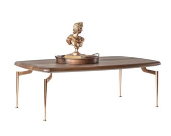 Table basse table d'appoint table basse table en bois bois marron salon