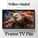 tv independence day offer