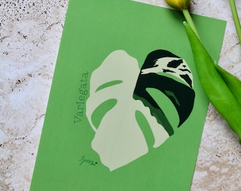 A5 illustration of a Monstera Variegata leaf
