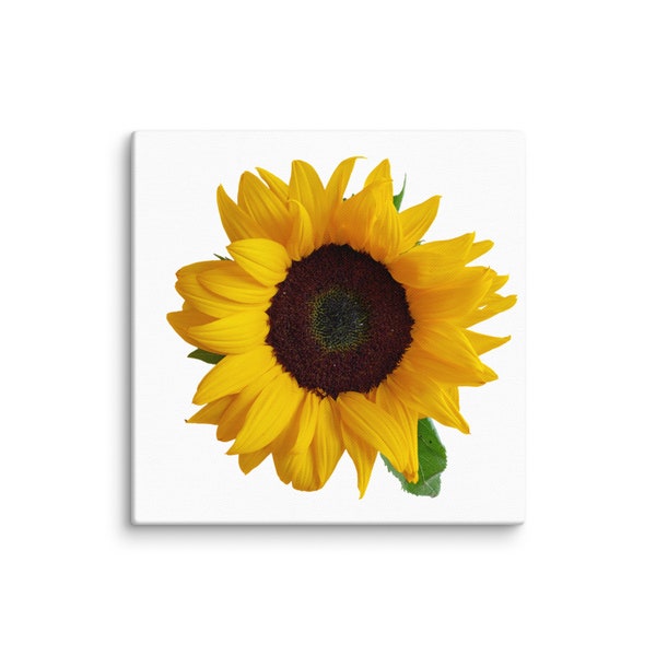 Sunflower Wall Decor Flower Photo on hanging Picture Canvas