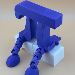 PI Day Flexi
