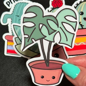 Monstera Plant Sticker | Cute Plant Sticker | Cute Sticker | Plant Stickers | Adorable Plants | Fun Plant Sticker