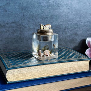 May include: A clear, cube-shaped resin lighter featuring an embedded underwater scene with sand, small seashells, green aquatic plants, and a miniature seahorse. The top of the lighter is made of metallic brass with a classic ignition mechanism.
