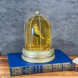 Vintage-style Bird in Cage Water Globe Snow Dome Glitter Lantern on Gold Base Vintage Home Decor Vintage Gift Idea