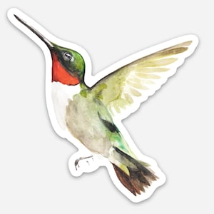Kolibri Aufkleber, wasserfester Aufkleber, Aufkleber für Laptop, wasserfester Vinyl-Aufkleber