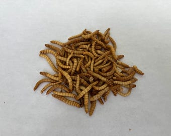 May include: A pile of dried mealworms, a popular food source for reptiles and other pets.