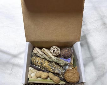 Mini Hamster Chew Toy Box