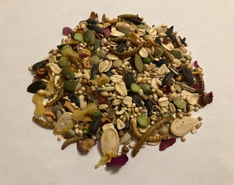 Gourmet Feast Syrian Hamster Seed Mix | great treat mix for gerbils, mice, rats, and other rodents