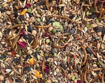 Gourmet Feast Syrian Hamster Seed Mix