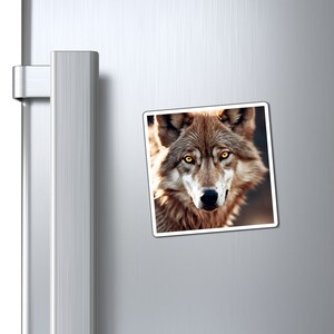 Magnets