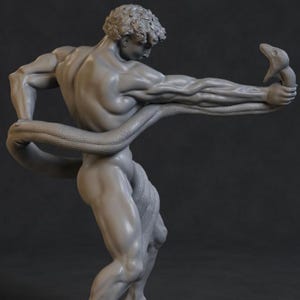 May include: A grey sculpture of a muscular figure grappling with a snake. The figure is seen from behind, with the snake coiled around the body and held in one hand. The snake's head is near the figure's hand.