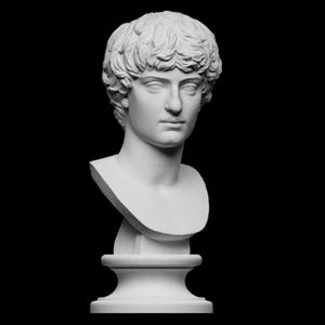 Portrait of a Man | Roman Republican Historical Art | 12K Resin Print | Unpainted Sculpture | 10cm / 15cm