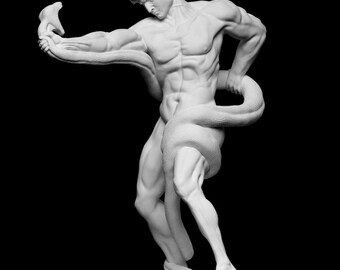 Atleta luchando con una pitón / Arte histórico victoriano heroico / Impresión en resina de 12 quilates / Escultura sin pintar / 10 cm / 15 cm