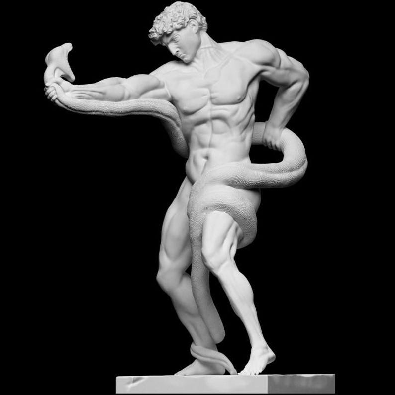 May include: A white marble sculpture depicting a muscular male figure in a struggle with a snake. The figure is nude, with detailed anatomy and curly hair. The snake is coiled around the figure's body and arm, set against a black backdrop.