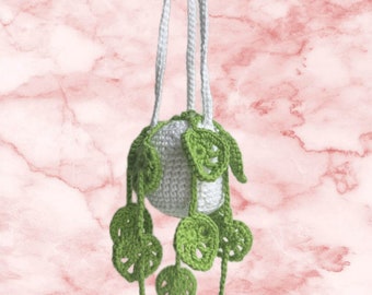 Crochet, Small hanging Monstera