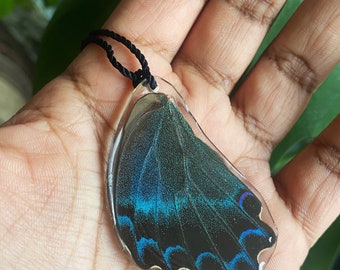 Real Butterfly Wing Necklace | Forewing | Reversable Multicolored Forewing