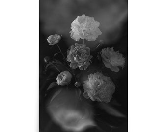 Black & White Peonies | Printed Poster | Dark Academia Wall Print | Moody Decor | Floral Fine Art Photograph by Abby Anderson