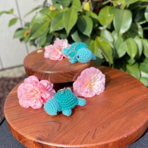 Schildkröte Schlüsselbund