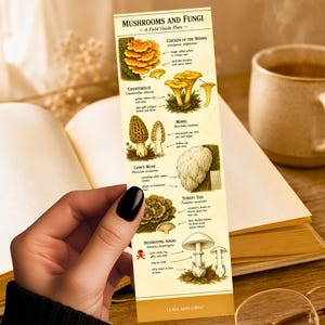 May include: A bookmark featuring illustrations of various mushrooms and fungi, including Chicken of the Woods, Chanterelle, Morel, Lion's Mane, Turkey Tail, and Destroying Angel. The bookmark has the text "Mushrooms and Fungi - A Field Guide Plate."