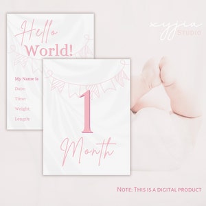Cartes d'anniversaire mensuelles imprimables pour bébé fille, premier anniversaire et anniversaire de naissance