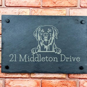 Peut inclure: Une plaque de maison rectangulaire en ardoise gris foncé avec un portrait de chien et l'adresse "21 Middleton Drive" en gris clair. La plaque est fixée sur un mur de briques avec quatre vis noires.