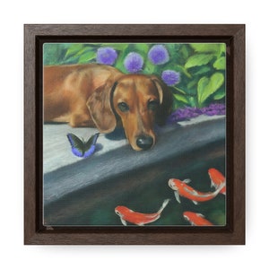 Gerahmter Druck - Charming Dackel Portrait