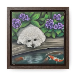 Framed Canvas Print - Bichon Frisé Portrait
