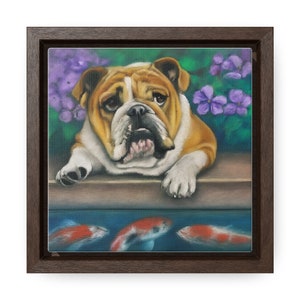 Framed Canvas Print - Charming English Bulldog Portrait