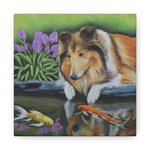 Canvas Print - Peaceful Collie and Koi