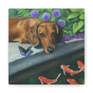 Canvas Print - Peaceful Dachshund and Koi