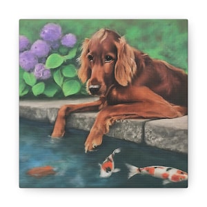 Canvas Print - Peaceful Irish Setter and Koi