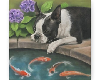 Canvas Print - Boston Terrier and Koi