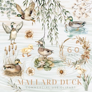 Mallard Duck Nursery Clipart, One Lucky Duck Birthday Graphics, Watercolor Baby Shower Art, Nature Clipart Bundle, Digital Download