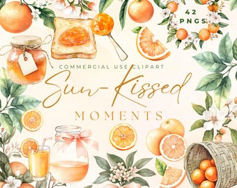Watercolor Orange Clipart Pack, Botanical Citrus PNG, Orange Blossom Wreath, Orange Frame Clipart, Summer Fruit Clipart, Watercolor Greenery