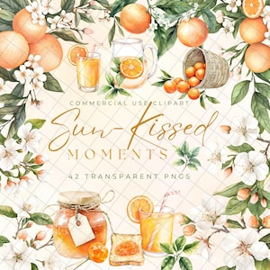 Watercolor Orange Clipart Pack, Botanical Citrus PNG, Orange Blossom Wreath, Orange Frame Clipart, Summer Fruit Clipart, Watercolor Greenery