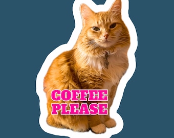 Coffee Please Cat Sticker: Handmade Glossy Vinyl Decal