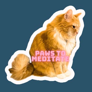 May include: A fluffy orange cat with white fur sits with its paws crossed, looking down. The text "PAWS TO MEDITATE" is written in pink letters on the image.