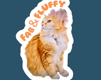 Fluffy Orange Cat Sticker: Water-Resistant Vinyl Die Cut