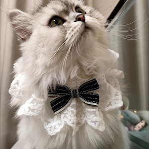 Handmade Bow and Lace Collar for Pet Cats and Dogs,  Pet Party, Wedding Collar, Pet Accessories, Puppy Collar, Gifts for Dogs and Cats