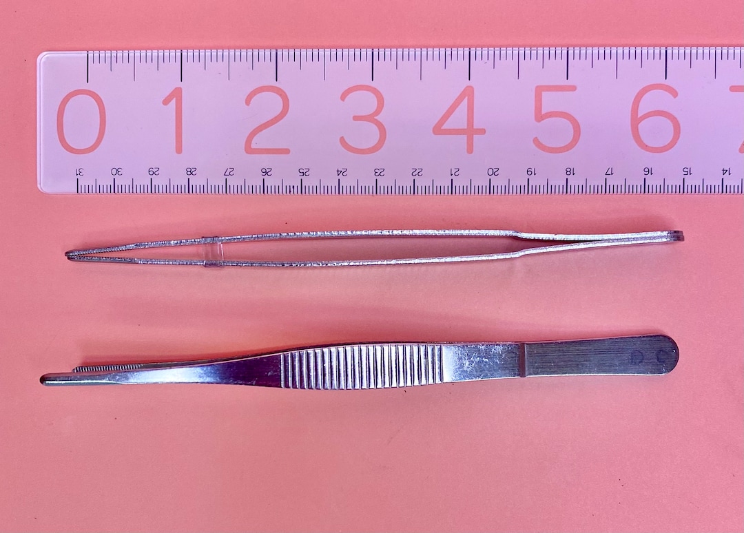 Rounded End 6 Tweezers Succulent Care Perfect Size Leaf Clean up Blunt