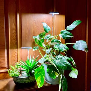 Full Spectrum Plant Grow Light  for indoor plants with Auto Timer