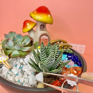 6&quot; Blunt Tip Tweezers: Succulent & Leaf Clean Up