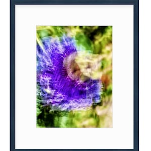 Passion Flower in Purple - Framed Digital Art