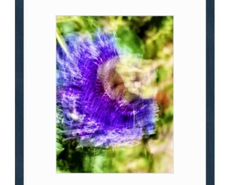 Passion Flower in Purple - Framed Digital Art