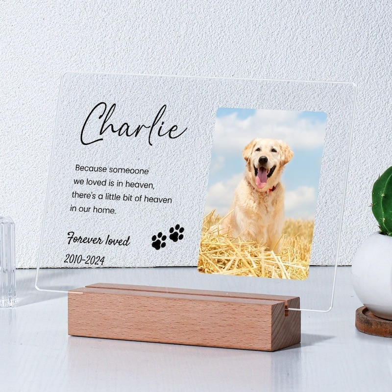 Pet Loss Gifts - 60+ Gift Ideas for 2025