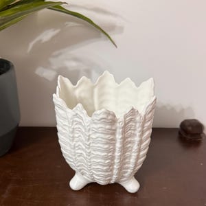 Peut inclure: Un cache-pot en céramique blanche avec un extérieur texturé rappelant un coquillage, doté de crêtes verticales et d'un bord dentelé. Le récipient repose sur trois petits pieds arrondis à la base, formant une structure organique mate.