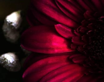Livfulla blommiga drömmar
